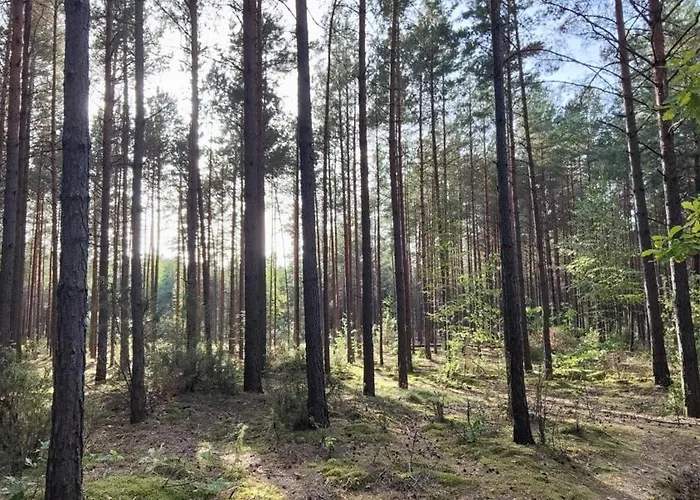 אכסניה Wilcza Jama