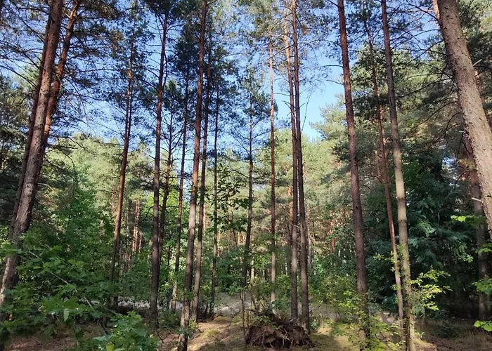 Wilcza Jama אכסניה